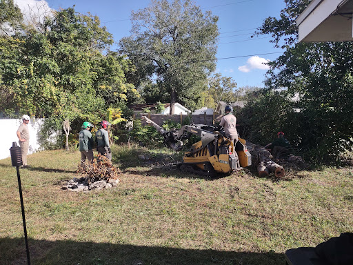 Photo from customer review